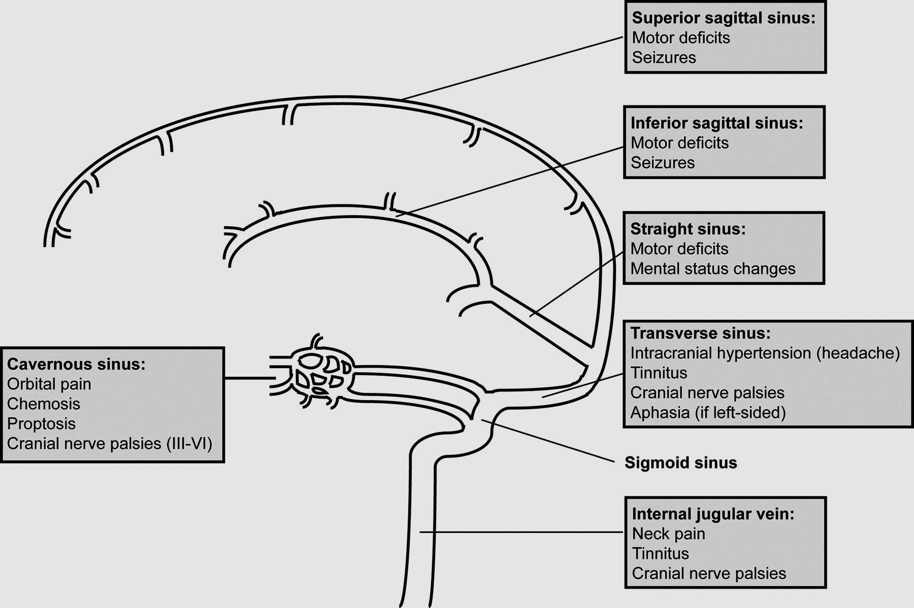 The ARTISSE intrasaccular device for intracranial aneurysm treatment ...